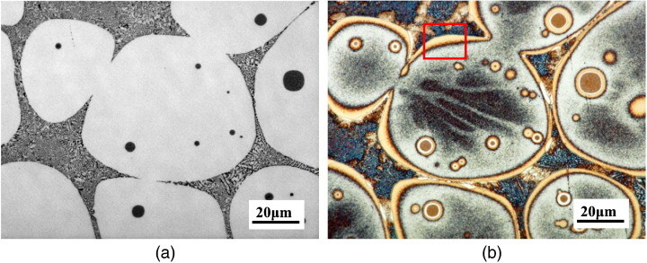 Weck Reagent Dağlama | Gündüz Kimya Weck reagent dağlama